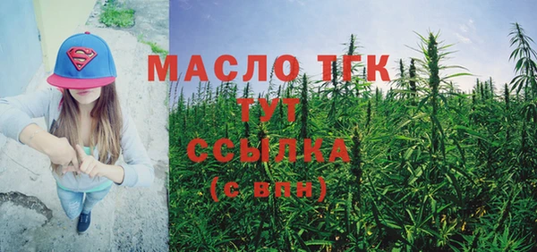 мдма Ельня