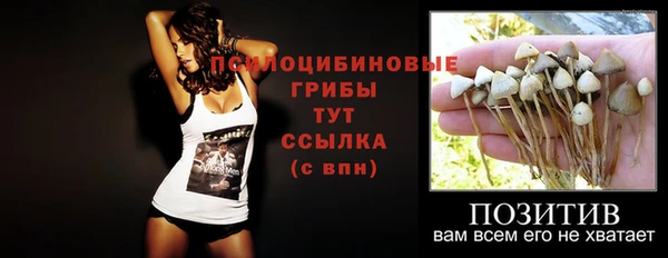 синтетический гашиш Елабуга