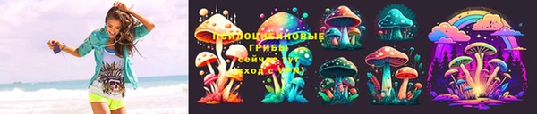 мдма Ельня