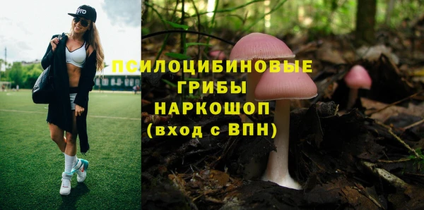 синтетический гашиш Елабуга