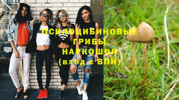 каннабис Елизово