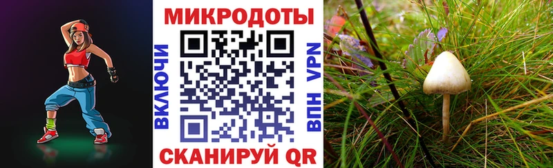 Галлюциногенные грибы прущие грибы  KRAKEN как зайти  Елабуга  купить  