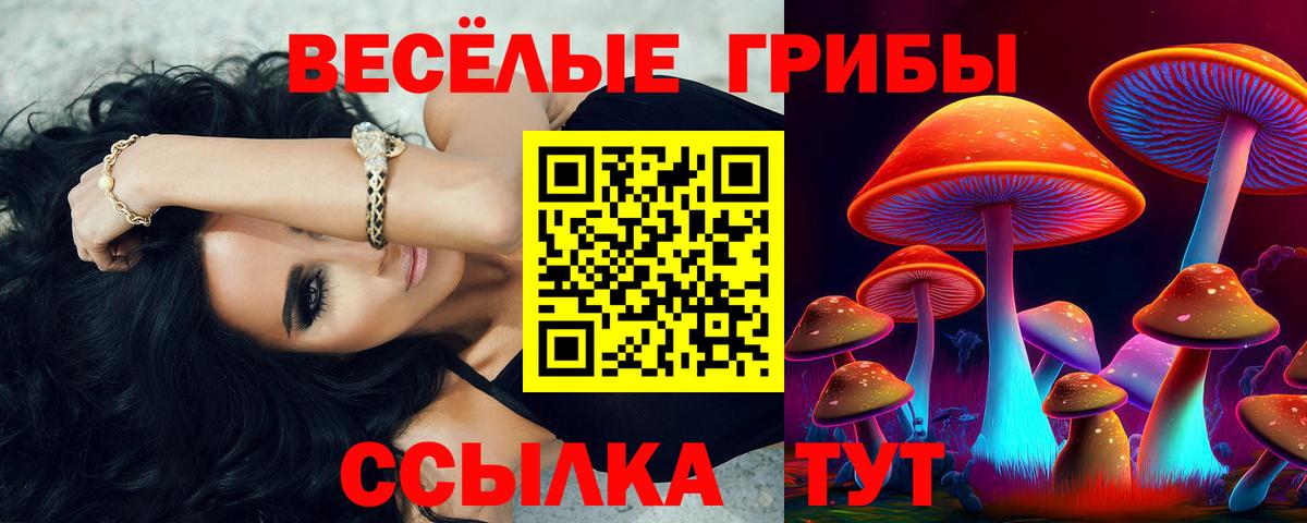 Елабуга  Псилоцибиновые грибы ЛСД  Вход с VPN 